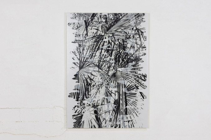 Agustín Serisuelo | Palma Salvaje Agustín Serisuelo | Palma Salvaje