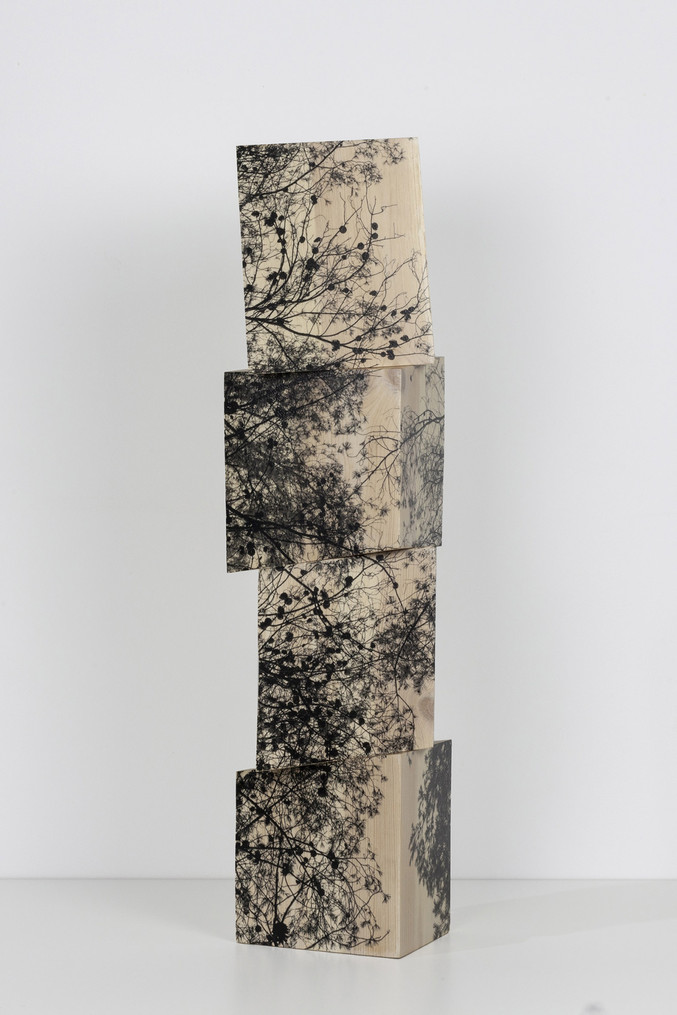 Agustín Serisuelo | Umbral de paisaje a 4 Agustín Serisuelo | Umbral de paisaje a 4