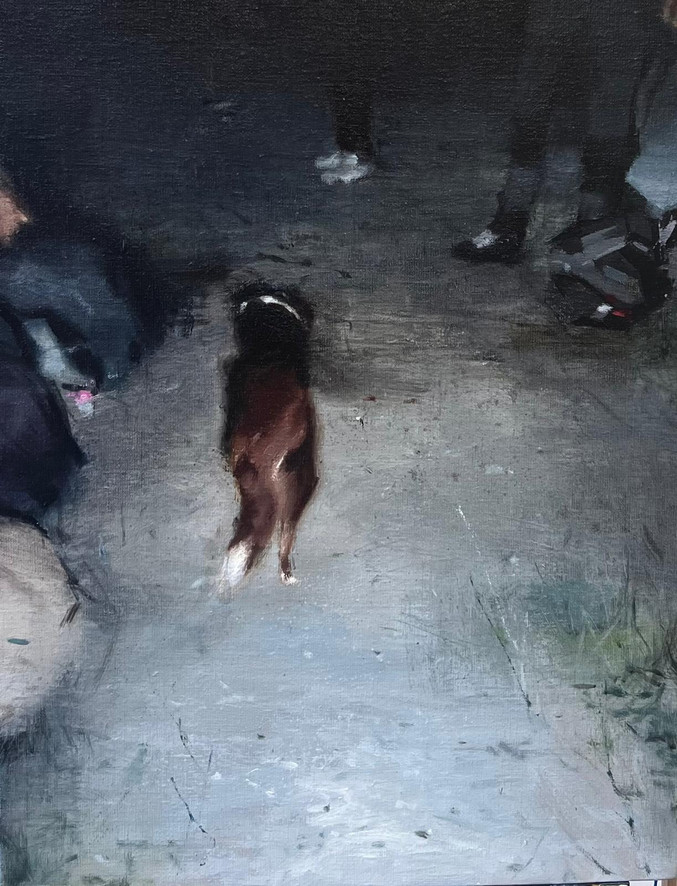 Diego Vallejo García | RV-MIRA Diego Vallejo García | RV-MIRA