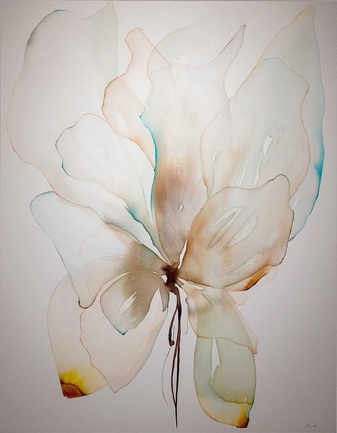 Pilar Salvà | Metamorfosis Pilar Salvà | Metamorfosis