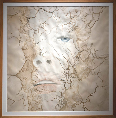 Pilar Salvà | Renacer Pilar Salvà | Renacer