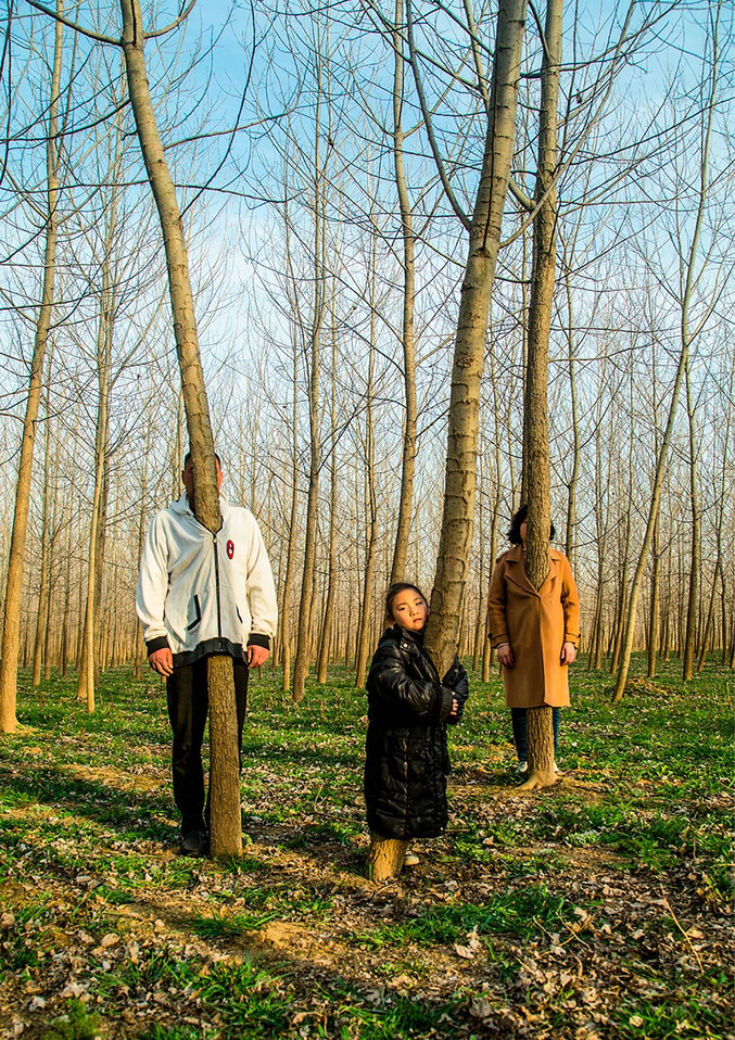 Han Bing | Family Trees Han Bing | Family Trees