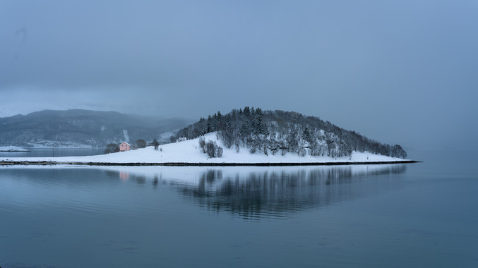 Isabel Ruiz | Sin título 4
