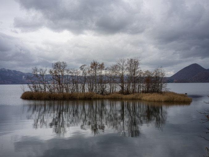Isabel Ruiz | Sin título 5