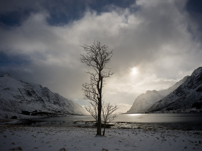 Isabel Ruiz | Sin título 6