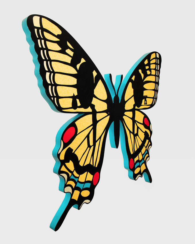 Killa Was Here | Kynetics Metamorfose Butterfly (versión amarilla con borde turquesa)