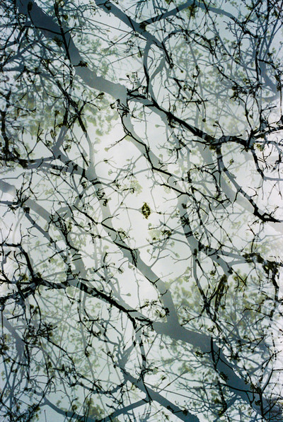 Francisco Pereira Coutinho | Bruxelas I