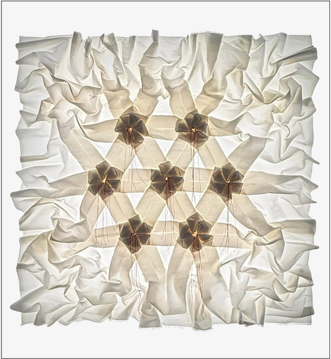 Pierre Louis Geldenhuys | Campo de amapolas