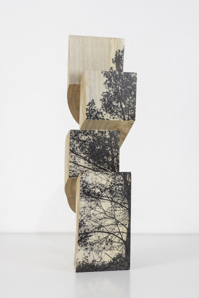 Agustín Serisuelo | Paisaje desplazado en 4