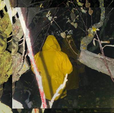 Diego Vallejo García | seg42 Diego Vallejo García | seg42