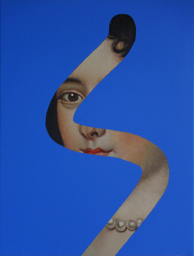 Lino Lago | "Falsos Abstractos (Jacob Ferdinand Voet)"