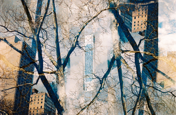 Francisco Pereira Coutinho | New York VII