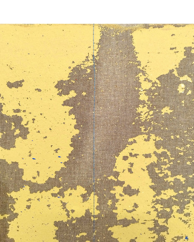 DIMASLA (Diana + Álvaro) | Silencio en el tercer paisaje (Detalle) DIMASLA (Diana + Álvaro) | Silencio en el tercer paisaje (Detalle)