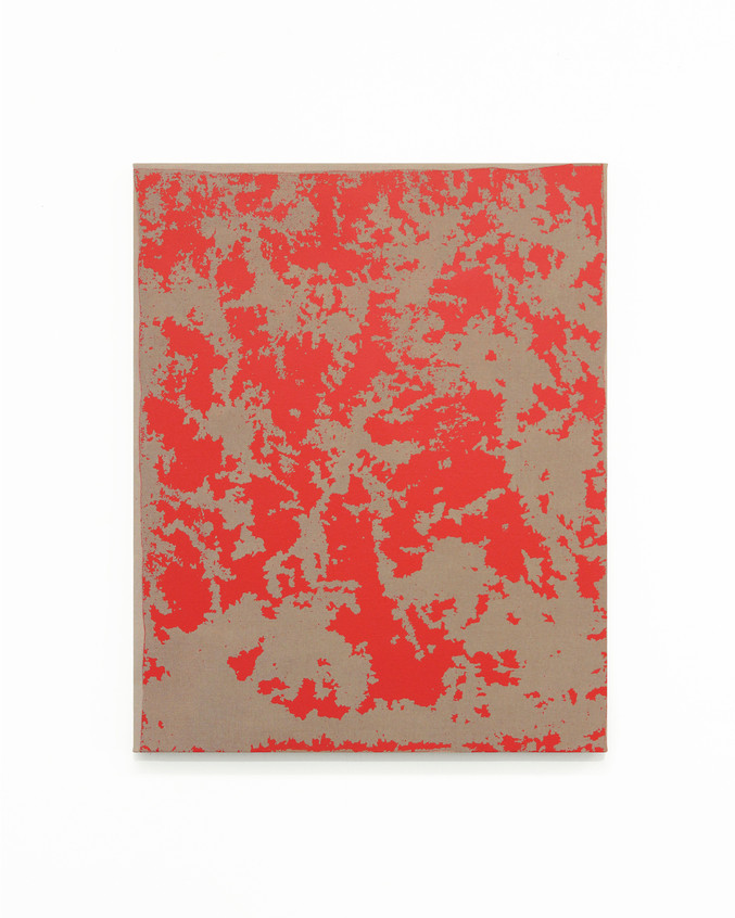 DIMASLA (Diana + Álvaro) | El zorro y sus camelos DIMASLA (Diana + Álvaro) | El zorro y sus camelos