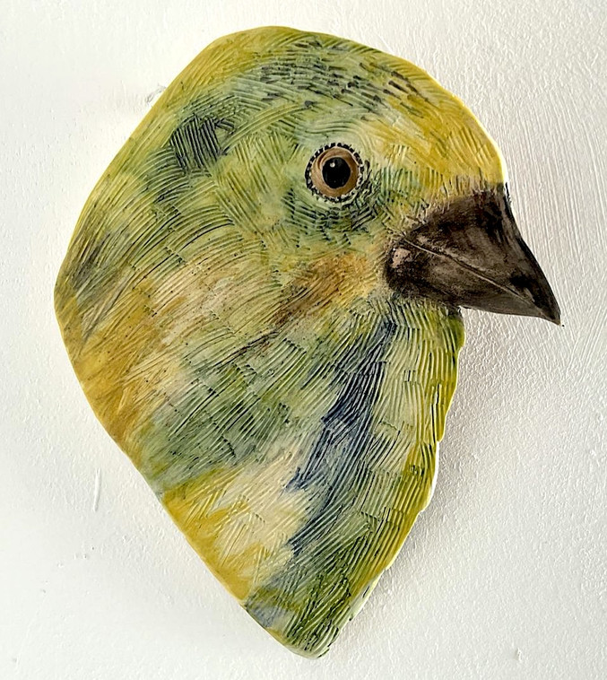 Natalia Biasioli | Jilguero