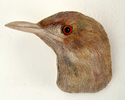 Natalia Biasioli | Garza bruja