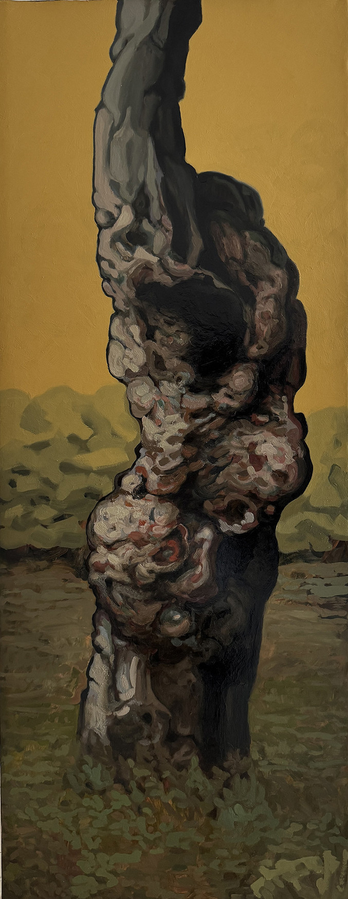 Felix Campean | Flesh of the trees V