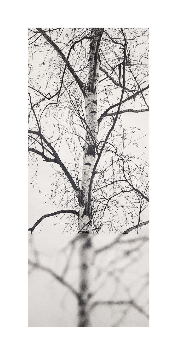 Manu Iranzo | Arbol interrumpido 3