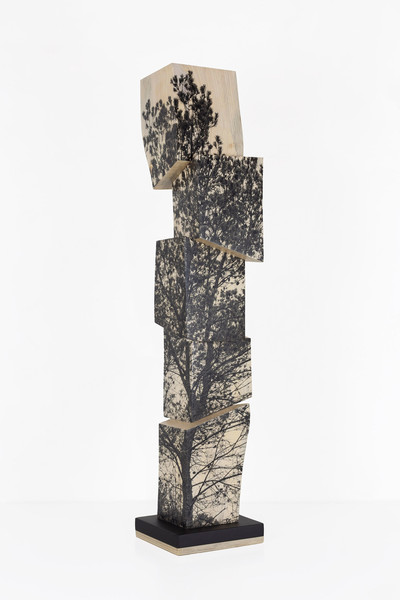 Agustín Serisuelo | Paisaje en torre Agustín Serisuelo | Paisaje en torre