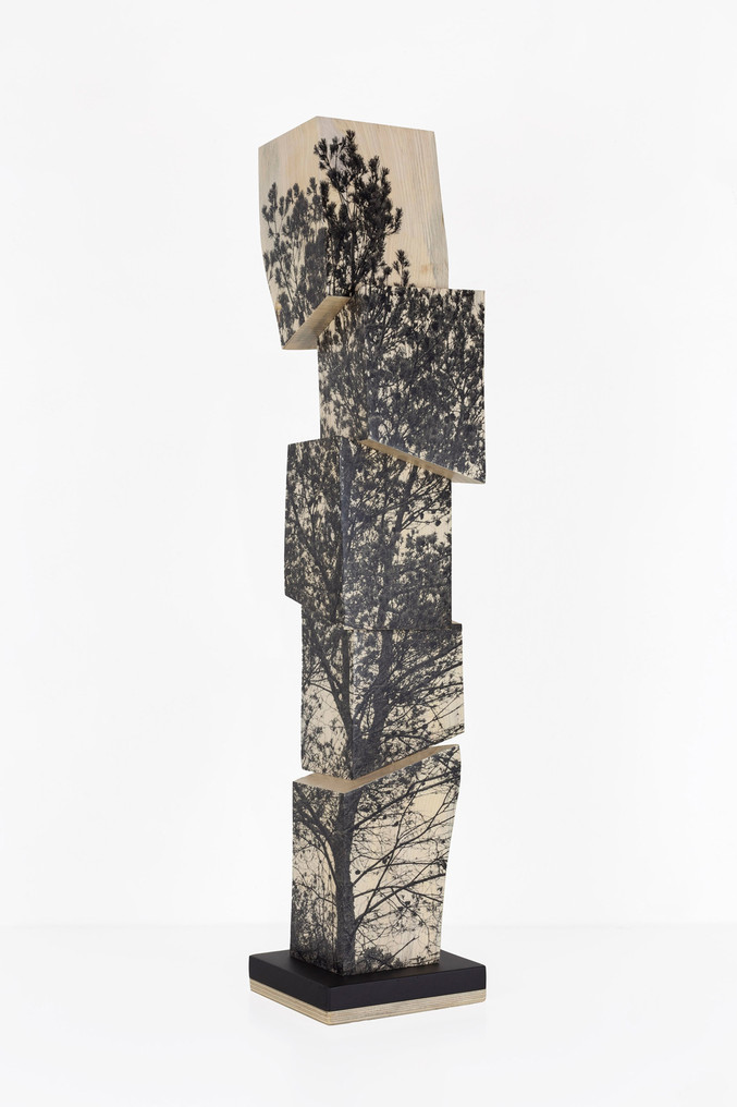 Agustín Serisuelo | Paisaje en torre