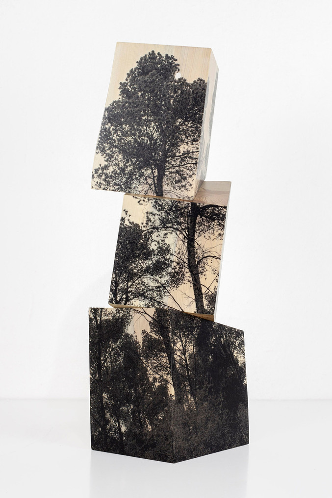 Agustín Serisuelo | Paisaje en 3