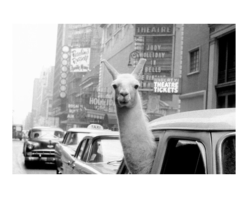 Art Madrid'25 – Contact sheets: from Margaret Thatcher to A